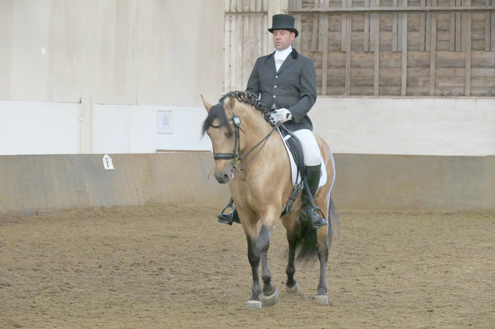 scuola di dressage in toscana